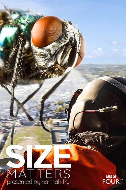 Show cover for Size Matters