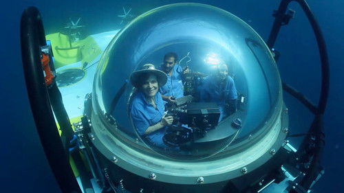 Background image for Episode 219