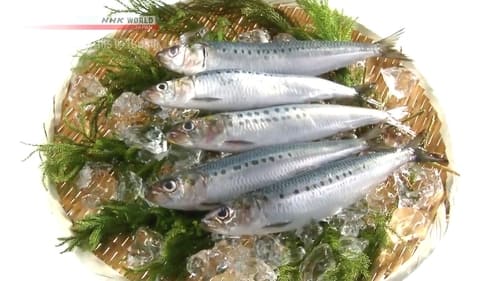 Sardine