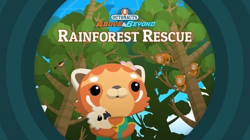 Rainforest Rescue