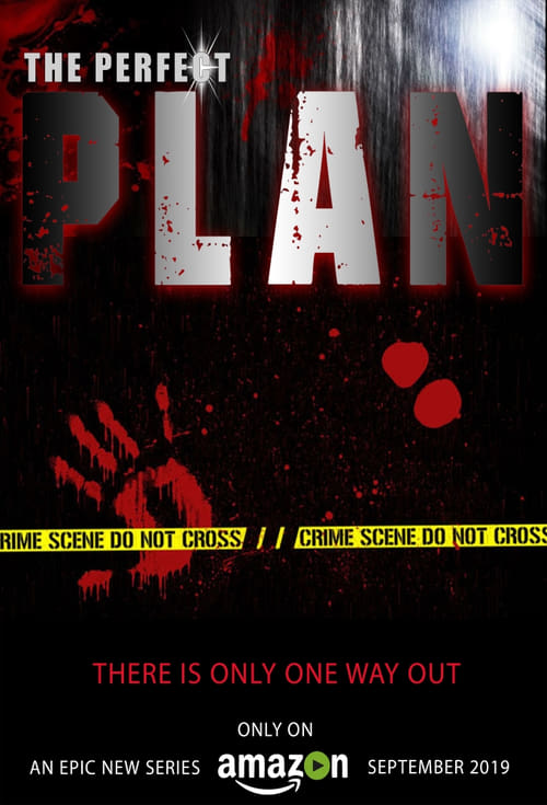 Show cover for The Perfect Plan