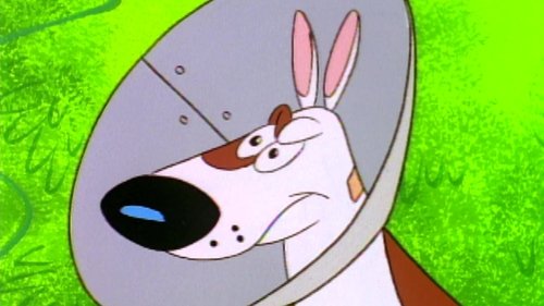 Background image for The Mighty Cone-Dog