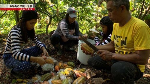 Background image for Quality Cocoa Enriches Lives: The Philippines