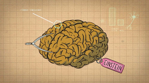 How Do You Become a Genius?