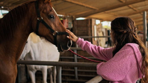 Background image for Horses