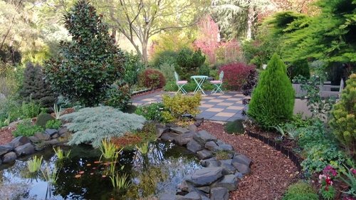 Background image for Episode 11 Resourceful Renters, Weeds in Pavers & Autumn Jobs
