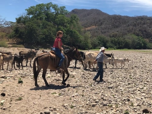 Jinetes, Adventure in the Mountains