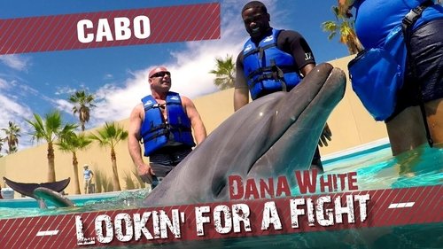 Background image for Cabo