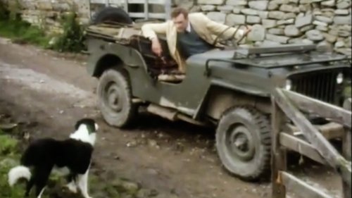 Background image for The Jackpot