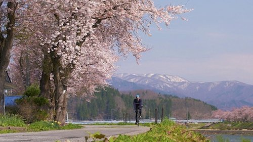Background image for Akita - Discovering the Traditions of the North