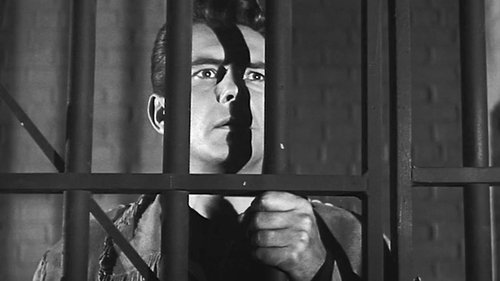 Background image for Prey of the Cat