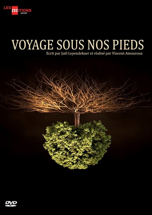 Show cover for Voyage sous nos pieds