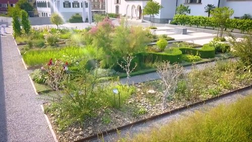 Background image for The biblical garden