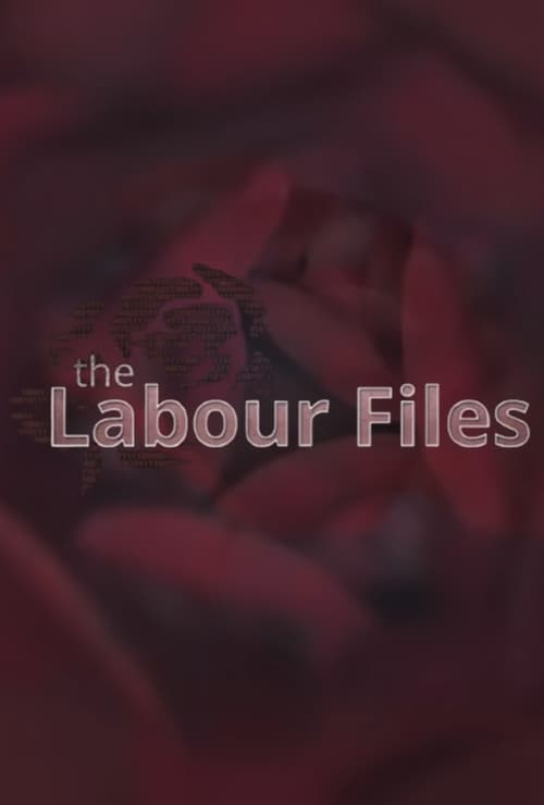 Show cover for The Labour Files