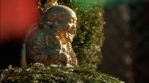 Background image for Notlügen