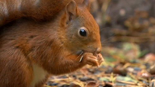 Background image for Episode 4