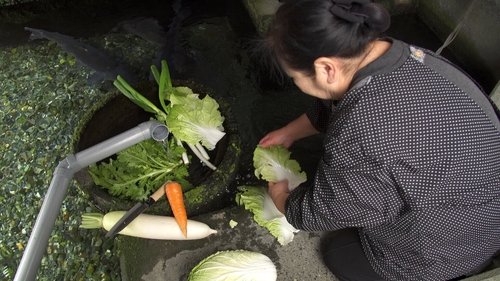 Background image for Harie, Shiga: A Town Living with Water
