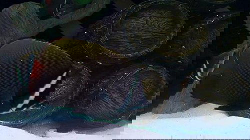 Background image for Spin the Bottles