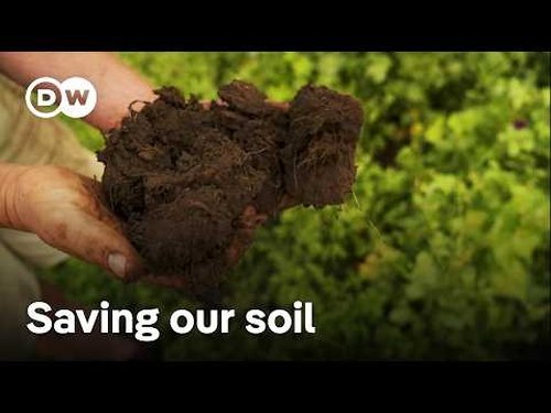 Background image for How farmers are protecting the soil and our food security