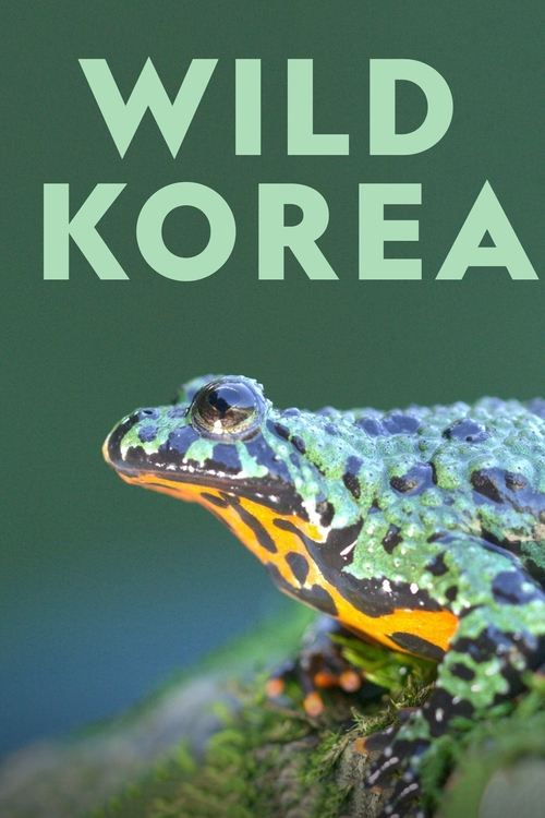 Show cover for Wild Korea