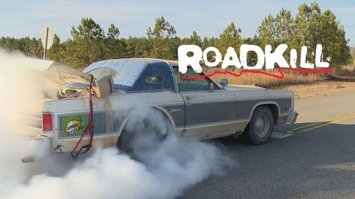 1,800-Mile Beater Rally!