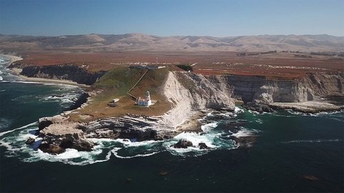 Background image for A Big Piece of Good News