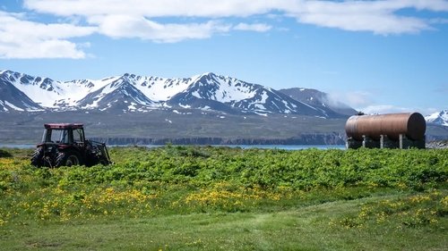 Background image for Flatey in Skjálfandaflói