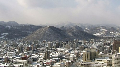 Background image for Forests in Sapporo, Winter