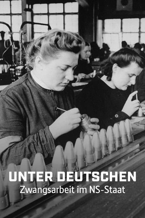 Show cover for Unter Deutschen - Zwangsarbeit im NS-Staat