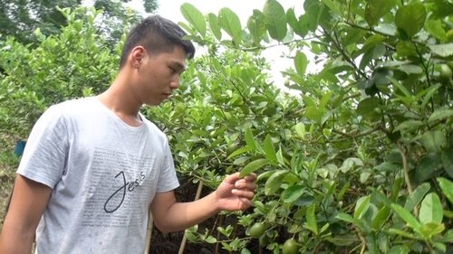 Background image for The Entrepreneurs Reenergizing China's Rural Communities