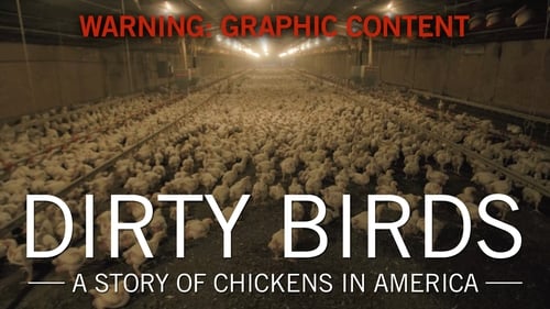 Dirty Birds: A Story of Chickens in America