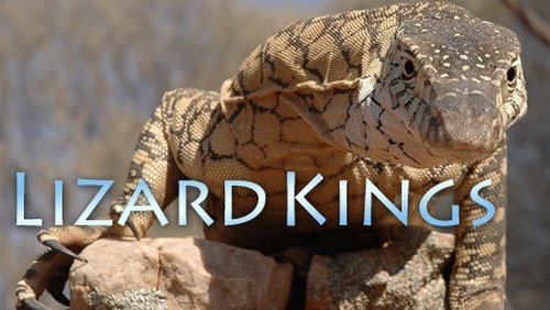 Background image for Lizard Kings