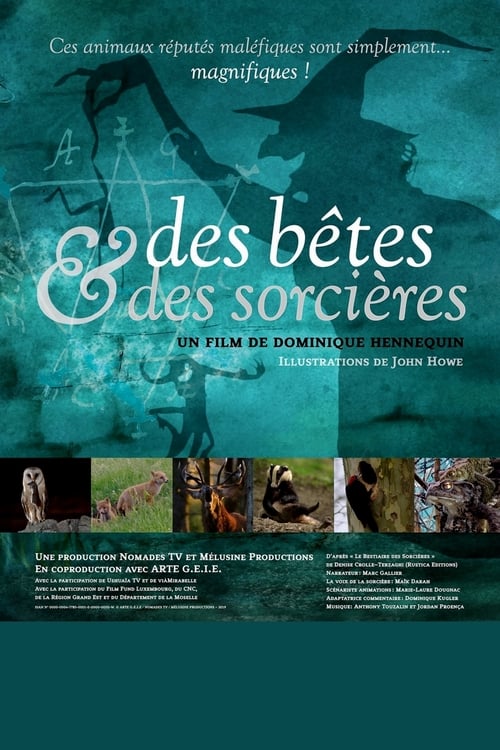 Show cover for Des bêtes et des sorcières