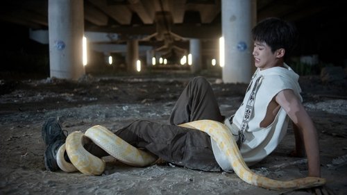Background image for Snakes Aren't More Important than People