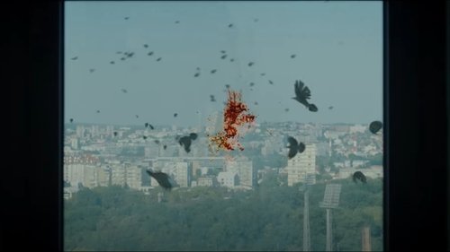 Background image for Episode 8