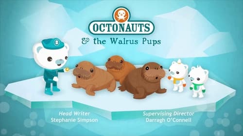 Octonauts and the Walrus Pups