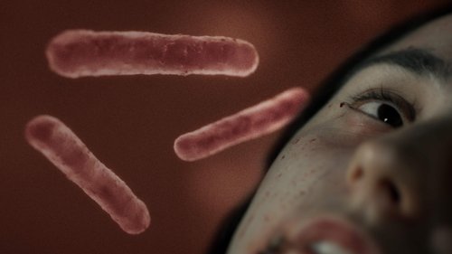 Background image for Chasing the Plague