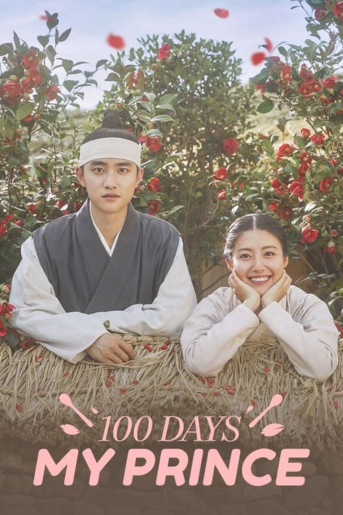 Show cover for 100 Days My Prince