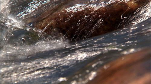 Background image for Episode 14