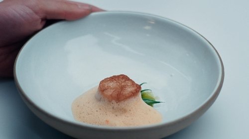 Background image for Scallop