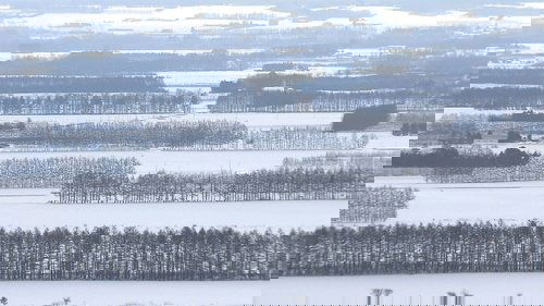 Background image for Tokachi Plain in Winter