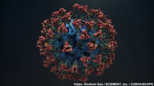 Exposing the Coronavirus: Our Invisible Enemy in 3DCG