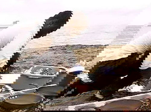 Background image for The Raw and the Cooked