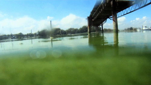 Background image for Episode 22