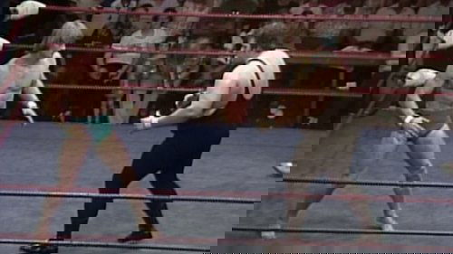 Background image for WCCW - June 05, 1982