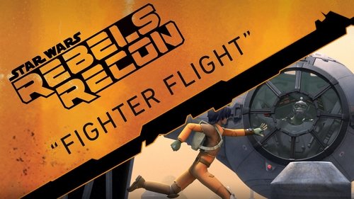 Background image for Inside "Fighter Flight"
