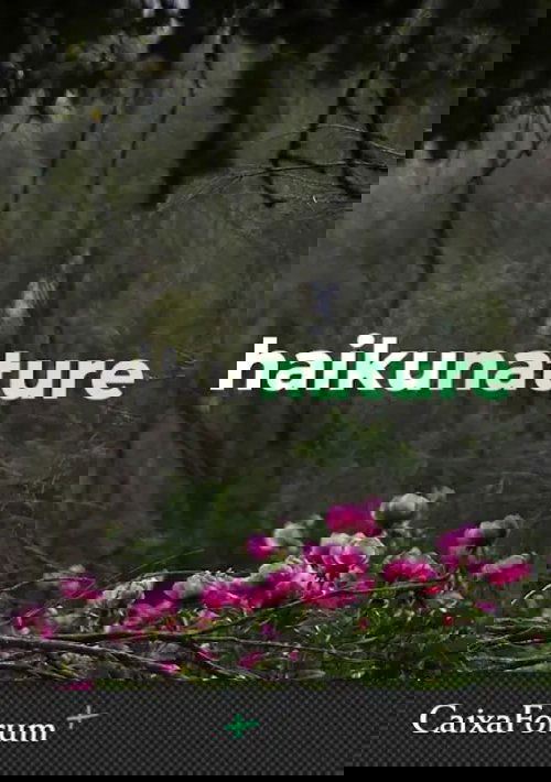 Haiku Nature