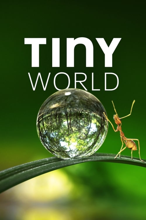 Show cover for Tiny World