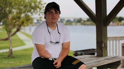 Background image for Gator Attack