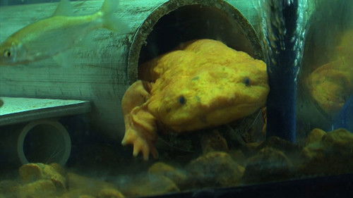 Background image for Episode 9